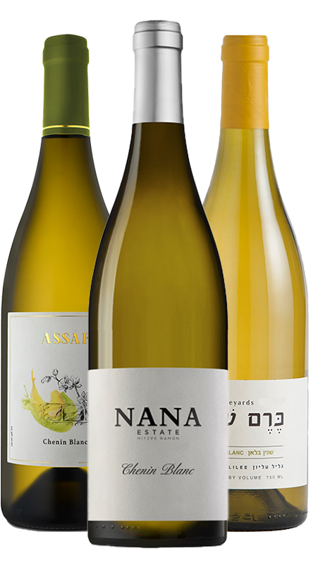 חבילת שנין בלאן ישראלי 